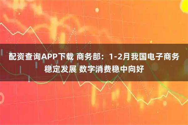 配资查询APP下载 商务部：1-2月我国电子商务稳定发展 数字消费稳中向好