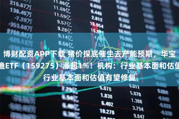 博财配资APP下载 猪价探底催生去产能预期，华宝基金农牧渔ETF（159275）涨超1%！机构：行业基本面和估值有望修复