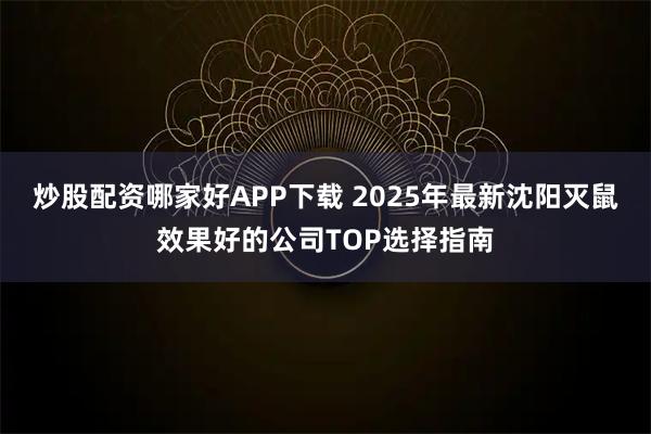 炒股配资哪家好APP下载 2025年最新沈阳灭鼠效果好的公司TOP选择指南